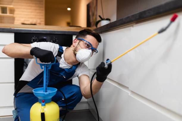 Best Local Pest Control Services  in Lester Prairie, MN