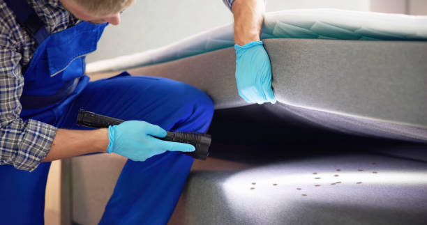 Best Residential Pest Control  in Lester Prairie, MN
