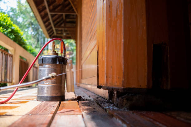 Best Pest Prevention Services  in Lester Prairie, MN