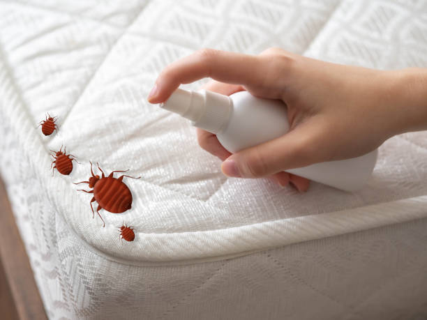 Best Flea Control Services  in Lester Prairie, MN