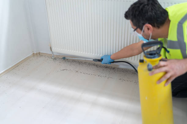Best Bed Bug Extermination  in Lester Prairie, MN